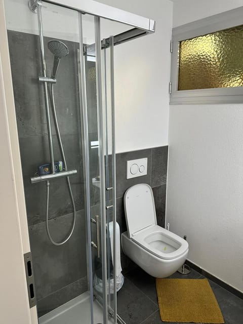 Dream with a view of Lake Maggiore House in Locarno