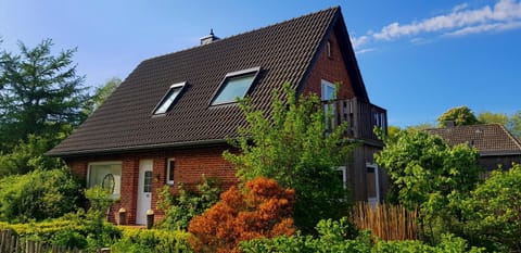 Property building, Spring, Day
