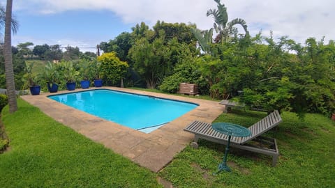 Garden, Pool view, Swimming pool