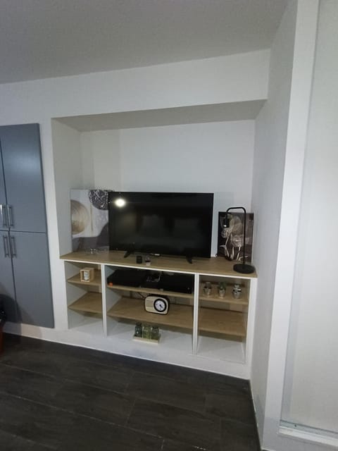 TV and multimedia