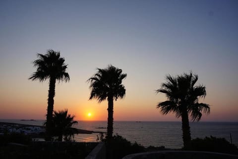 Three palm house Apartment in Paros