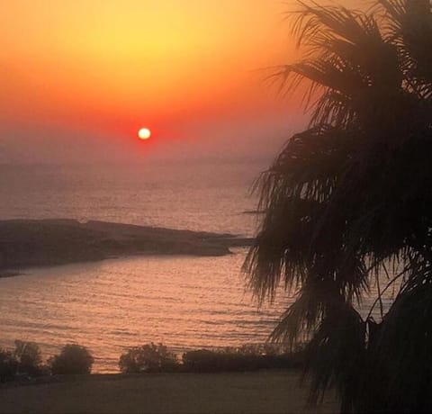 Three palm house Apartment in Paros