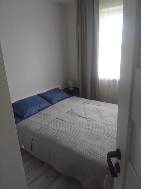 Buto nuoma Druskininkuose Apartment in Lithuania