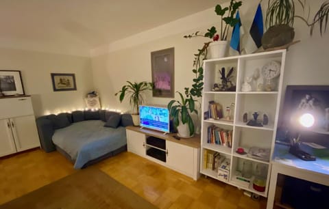 Communal lounge/ TV room, Bed, TV and multimedia, Living room, Seating area, Bedroom, internet