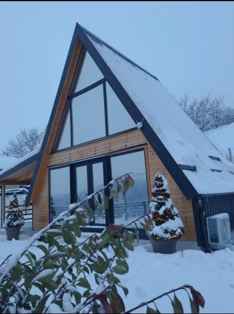 Panorama Pool Hills Villa in Novi Sad