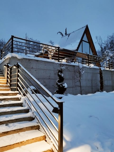 Panorama Pool Hills Villa in Novi Sad