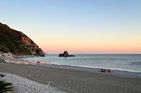 Beach, Sea view, Sunset