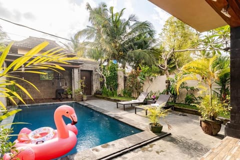 Garden view, Pool view, Swimming pool, Swimming pool, sunbed