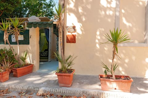 Green Vacanze House in Vada