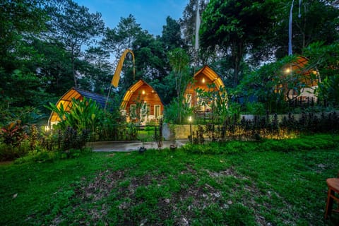 Property building, Night, Natural landscape, Garden, Garden, Garden view, Area and facilities, group of guests