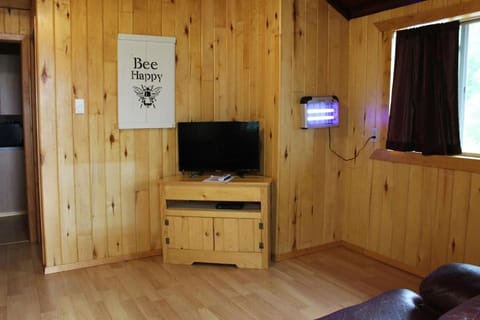 Cabin 4 - Classic 1933 cabin on the lake shore, 10 steps from the dock Cabin in Minnesota