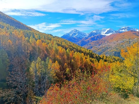Casa Richardette Relax in the Woods Apartment in Sauze d'Oulx