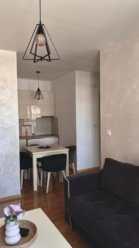 Apartmani Radić Apartment in Zlatibor