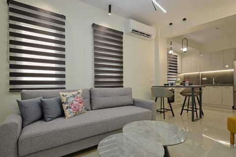 Kitchen or kitchenette, Living room, Seating area, Dining area, air conditioner