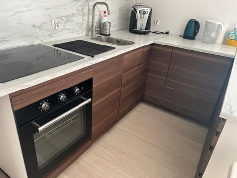 Kitchen or kitchenette, dishwasher, stove