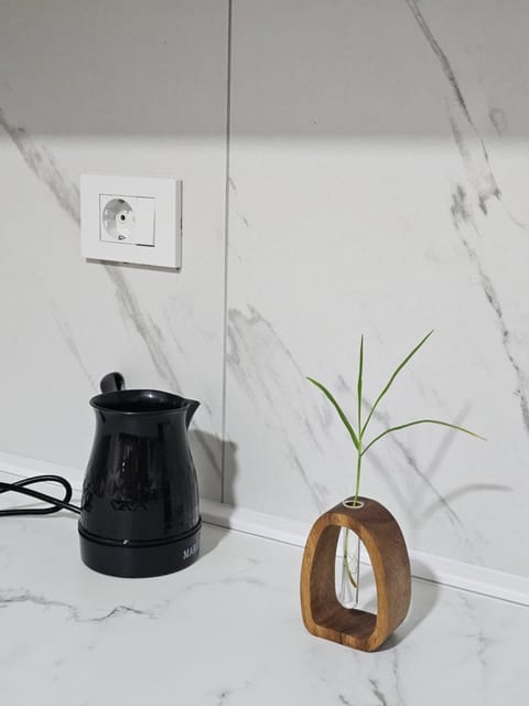 ST Central Home Apartment in Skopje