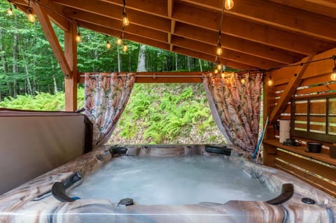 Fern Leaf Lodge House in Beech Mountain