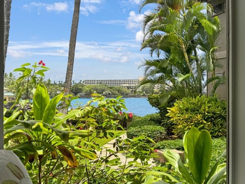 Ocean View, 2 BRM, 1st floor, AC, Resort living Apartment in South Kona