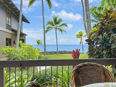 Ocean View, 2 BRM, 1st floor, AC, Resort living Apartment in South Kona