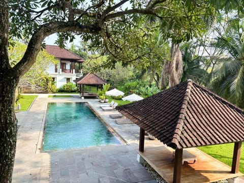Property building, Spring, Day, Garden, Garden view, Pool view, Swimming pool, sunbed