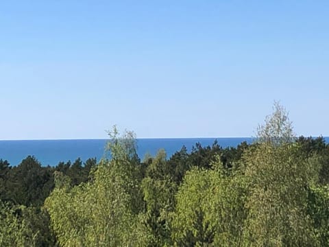 Amber Loft Apartment in Klaipėda County, Lithuania