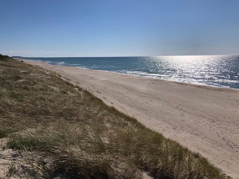 Amber Loft Apartment in Klaipėda County, Lithuania