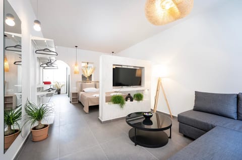 Bed, TV and multimedia, Living room, Photo of the whole room, Seating area, Bedroom