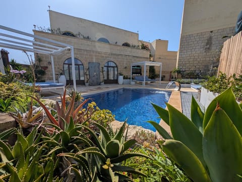 Garden, Garden view, Pool view, Swimming pool, sunbed