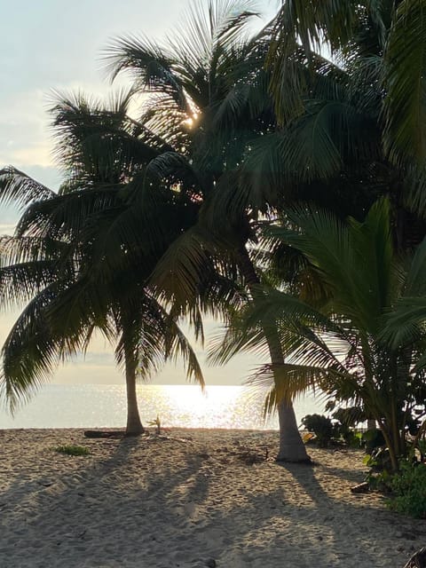 Day, Natural landscape, View (from property/room), Beach, Sea view