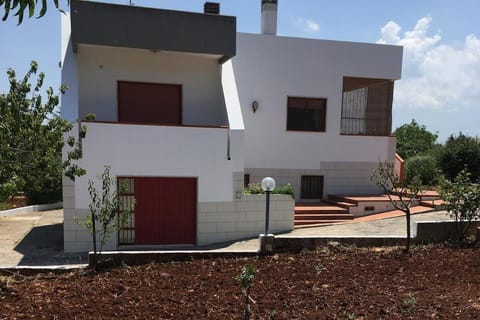 Property building, Garden, Garden, Garden view