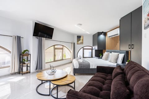 Bed, TV and multimedia, Living room, Photo of the whole room, Seating area, Bedroom