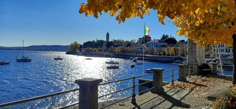 Lake view