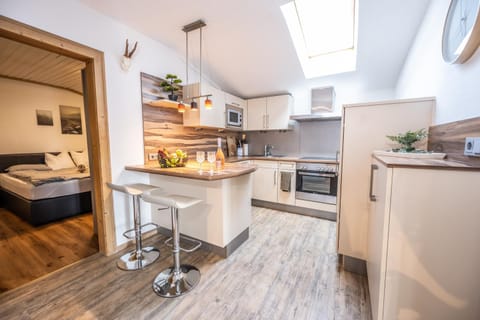 Kitchen or kitchenette, dishwasher, oven, stove, toaster