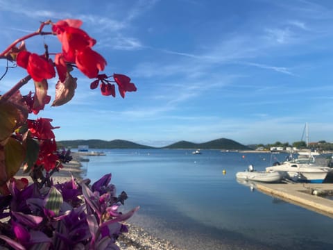 Nearby landmark, Day, Beach, Sea view