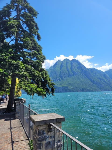 La Bella Vista Apartment in Province of Brescia