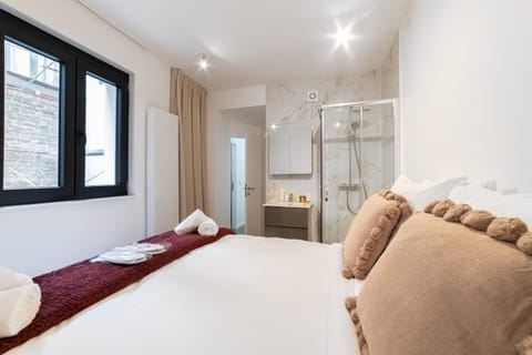 Chez Lilou et Babette 4 appartements 2 chambres Apartment in Brussels