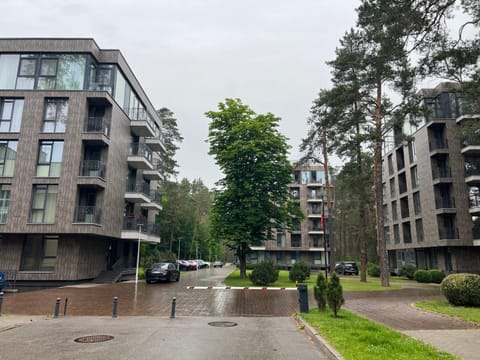 Nemuno Banga Apartment in Lithuania