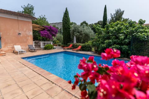 Patio, Garden, Garden view, Pool view, Swimming pool, sunbed