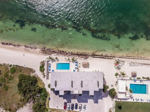 Seaside Villa- Charming Beachfront Condo w Pool! House in Marathon