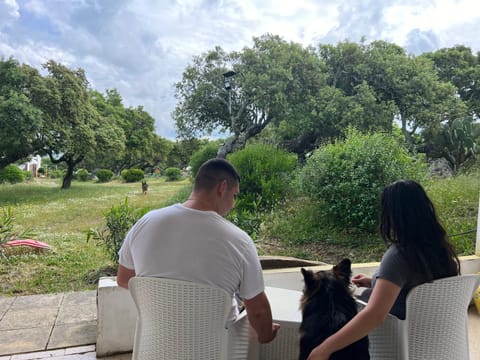 Spring, Day, People, Natural landscape, Garden, Guests, Garden view, group of guests
