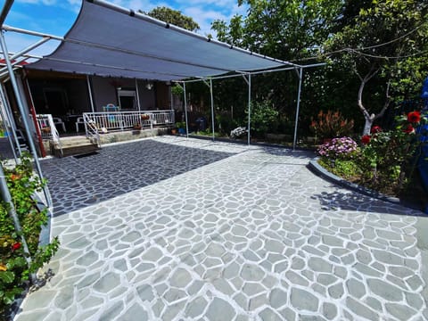 Garden, Garden view, Inner courtyard view