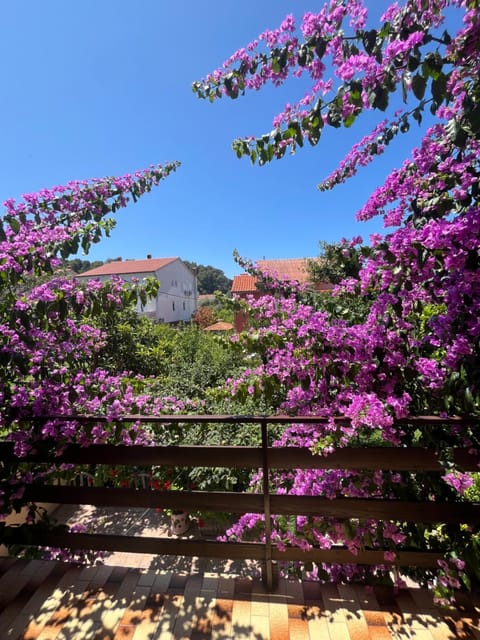 Apartments&Rooms Pahljina Bed and Breakfast in Lika-Senj County