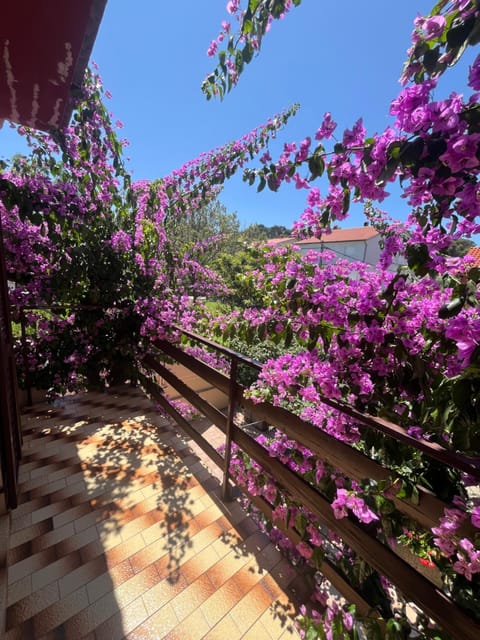 Apartments&Rooms Pahljina Bed and Breakfast in Lika-Senj County