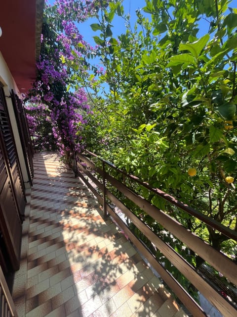 Apartments&Rooms Pahljina Bed and Breakfast in Lika-Senj County