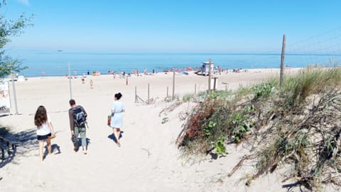 Natural landscape, Beach
