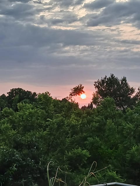 Garden Relax House in Volterra
