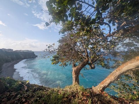 Beach, Sea view