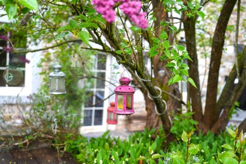 Spring, Garden
