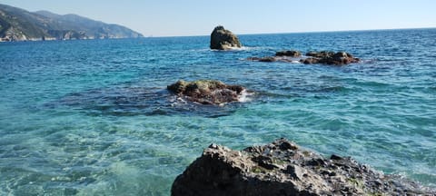 nonna flo Apartment in Monterosso al Mare