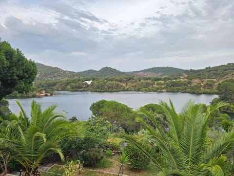 Lake view